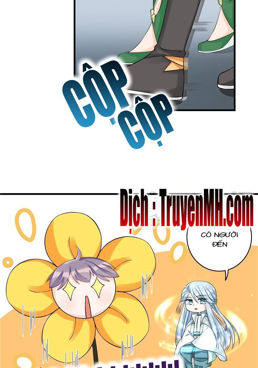 đọc truyện Đồ Đệ Nhà Ta Lại Quải Rồi Chương 72 ảnh 15 tại Thiên Thai Truyện