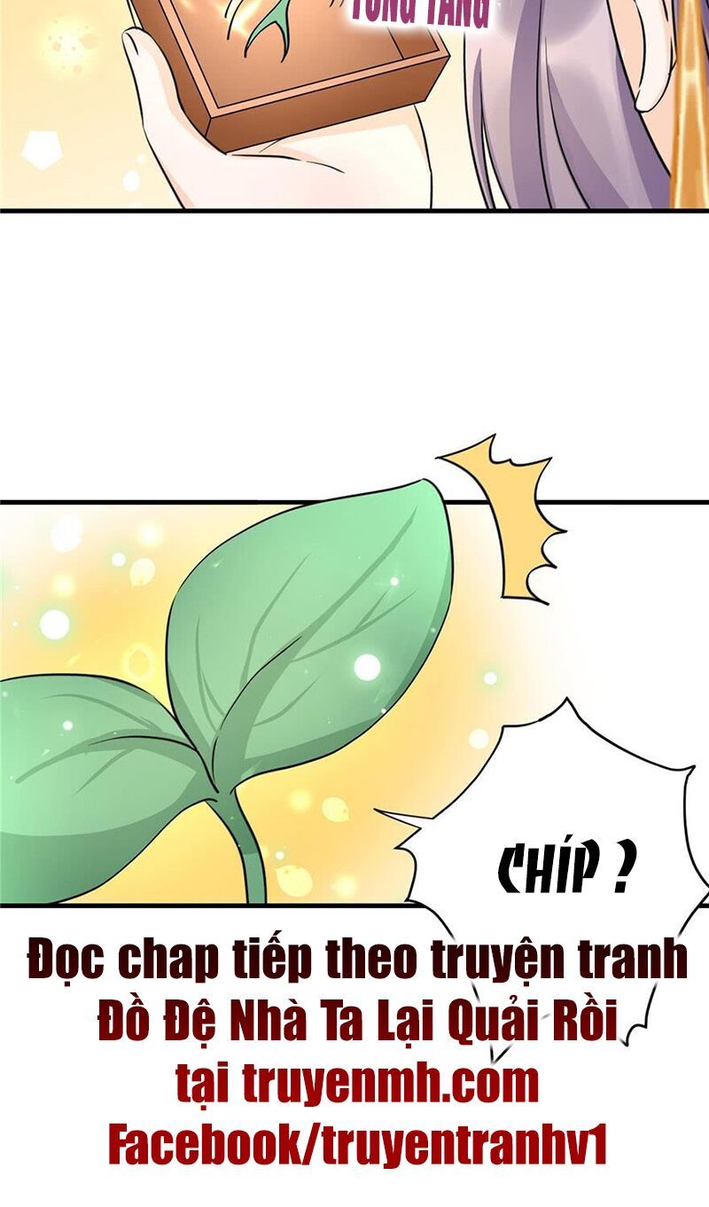 đọc truyện Đồ Đệ Nhà Ta Lại Quải Rồi Chương 74 ảnh 21 tại Thiên Thai Truyện