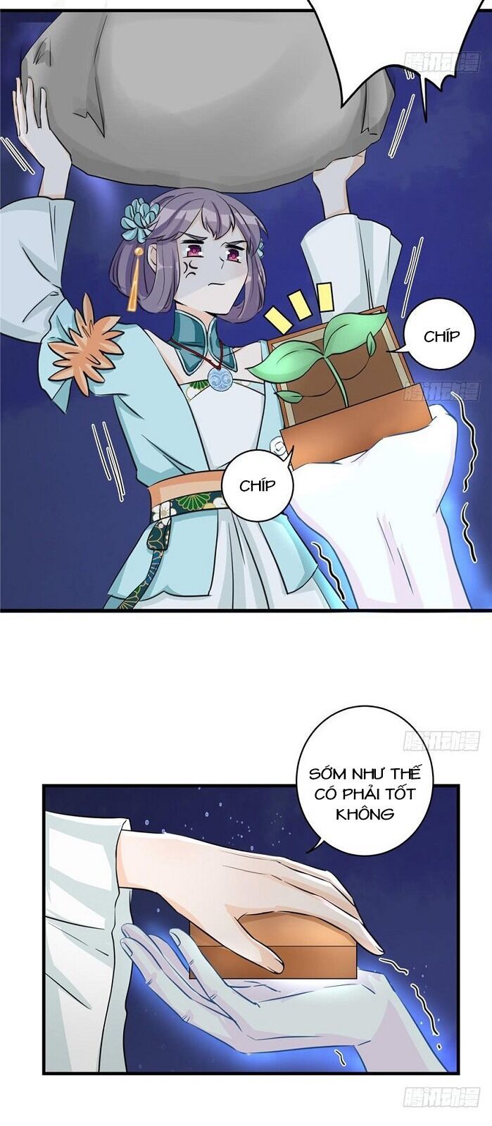 đọc truyện Đồ Đệ Nhà Ta Lại Quải Rồi Chương 76 ảnh 9 tại Thiên Thai Truyện