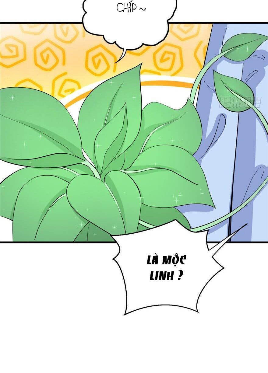 đọc truyện Đồ Đệ Nhà Ta Lại Quải Rồi Chương 80 ảnh 7 tại Thiên Thai Truyện