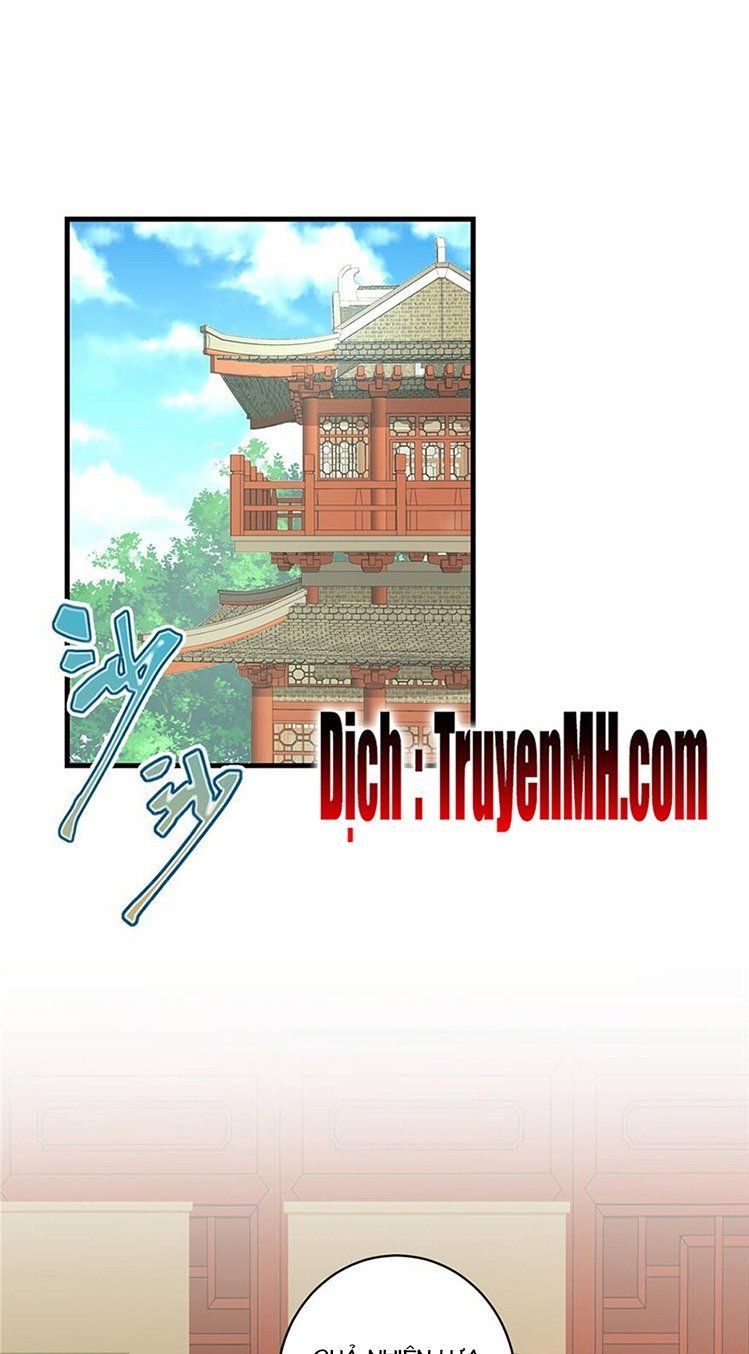 đọc truyện Đồ Đệ Nhà Ta Lại Quải Rồi Chương 91 ảnh 4 tại Thiên Thai Truyện