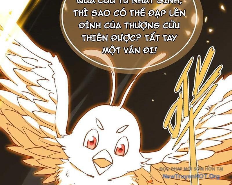 đọc truyện Đồ Đệ Nữ Đế Của Ta Muốn Hắc Hóa! Chương 59 ảnh 50 tại Thiên Thai Truyện