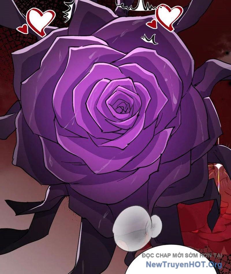 đọc truyện Đồ Đệ Nữ Đế Của Ta Muốn Hắc Hóa! Chương 71 ảnh 8 tại Thiên Thai Truyện