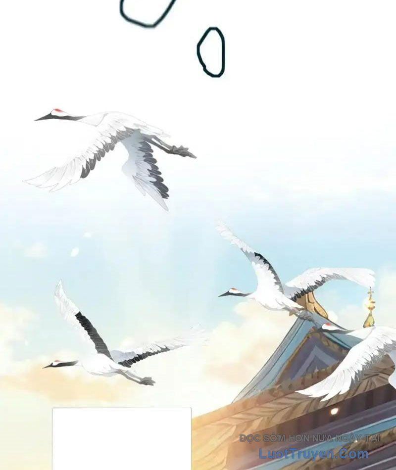 đọc truyện Đồ Đệ Nữ Đế Của Ta Muốn Hắc Hóa! Chương 79 ảnh 13 tại Thiên Thai Truyện