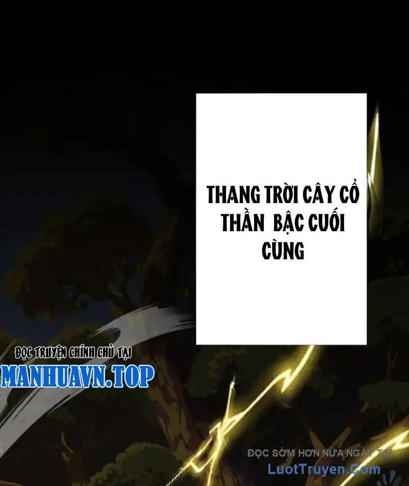 đọc truyện Đồ Đệ Nữ Đế Của Ta Muốn Hắc Hóa! Chương 79 ảnh 6 tại Thiên Thai Truyện