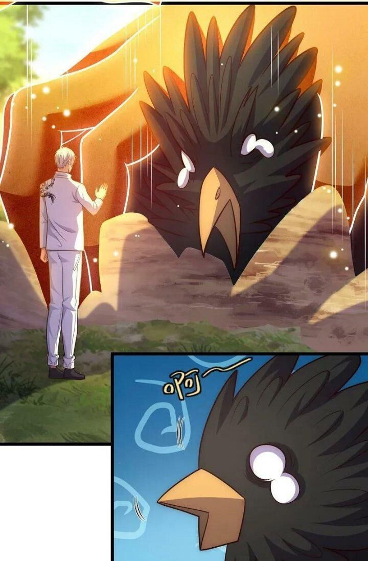 đọc truyện Đô Thị Chi Nghịch Thiên Tiên Tôn Chương 381 ảnh 43 tại Thiên Thai Truyện