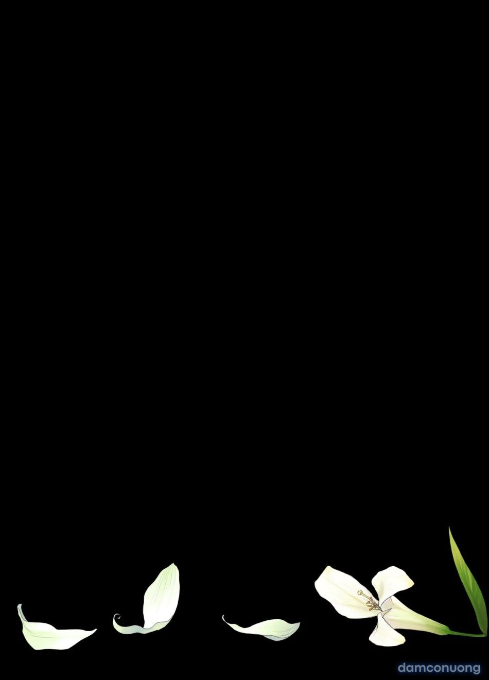 đọc truyện Đóa Hoa Kiêu Hãnh Lụi Tàn Chương 0 ảnh 35 tại Thiên Thai Truyện