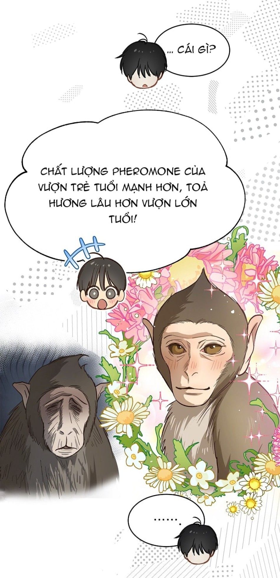 đọc truyện Đóa Hoa Là Mồi Nhử Chương 25 ảnh 26 tại Thiên Thai Truyện