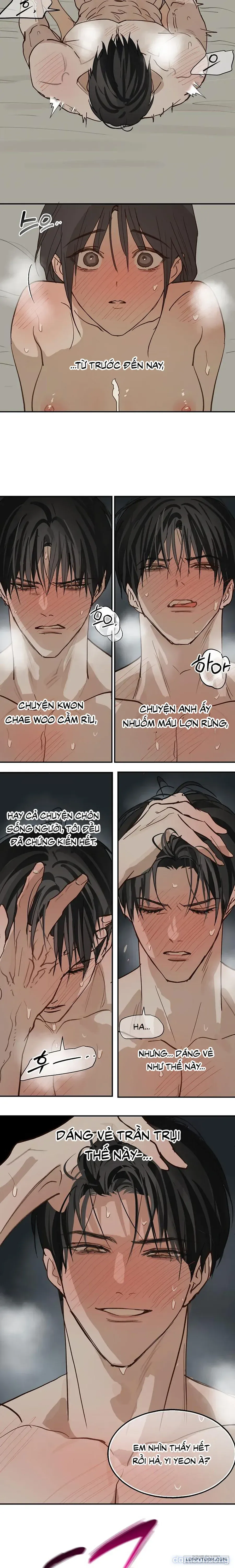 đọc truyện Đóa Hoa Là Mồi Nhử Chương 51 ảnh 12 tại Thiên Thai Truyện