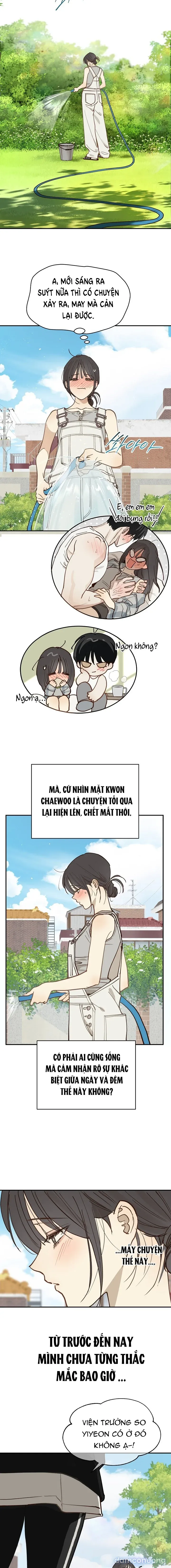 đọc truyện Đóa Hoa Là Mồi Nhử Chương 52 ảnh 16 tại Thiên Thai Truyện
