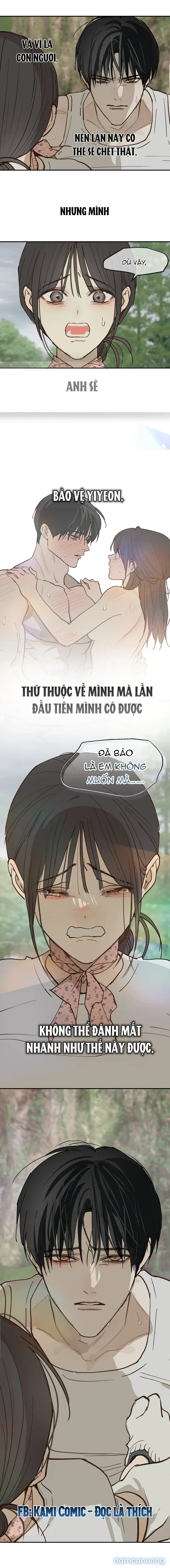 đọc truyện Đóa Hoa Là Mồi Nhử Chương 56 ảnh 10 tại Thiên Thai Truyện