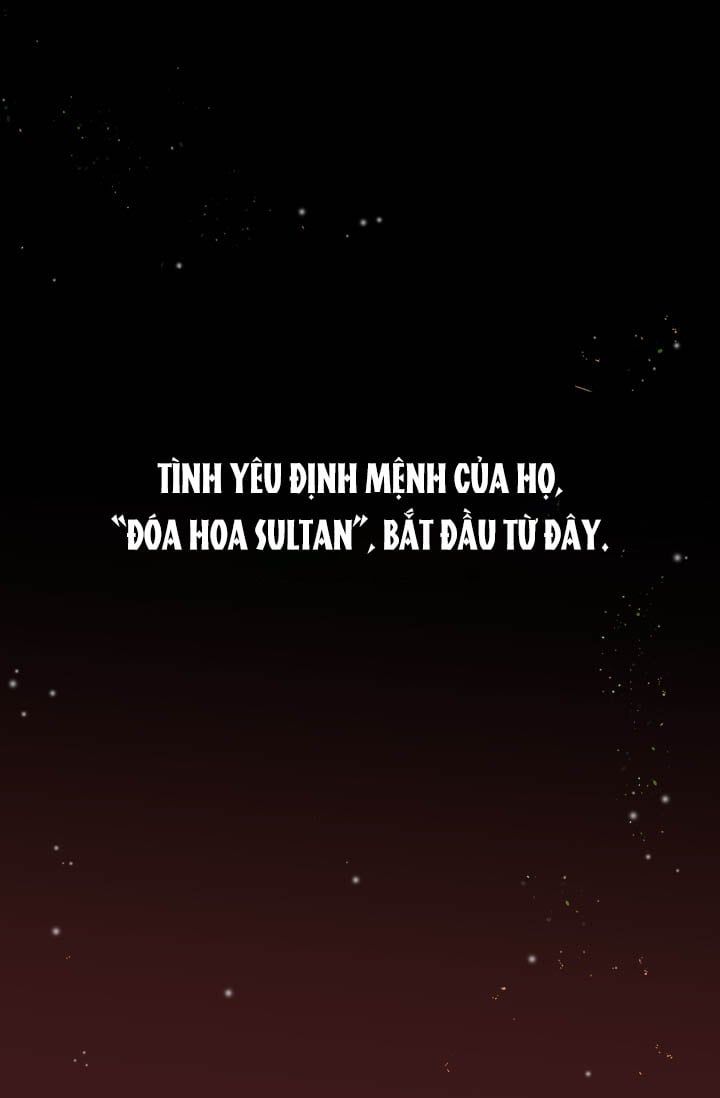 đọc truyện Đóa Hoa Sultan Chương 0 ảnh 30 tại Thiên Thai Truyện