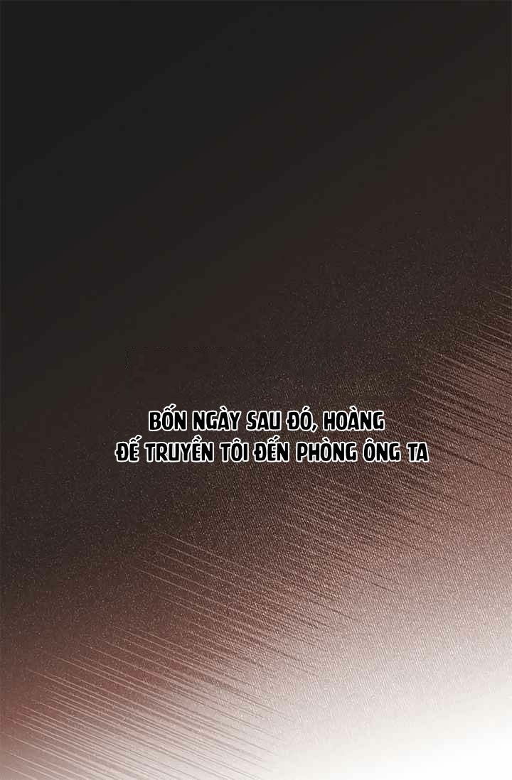 đọc truyện Đóa Hoa Sultan Chương 1 ảnh 33 tại Thiên Thai Truyện