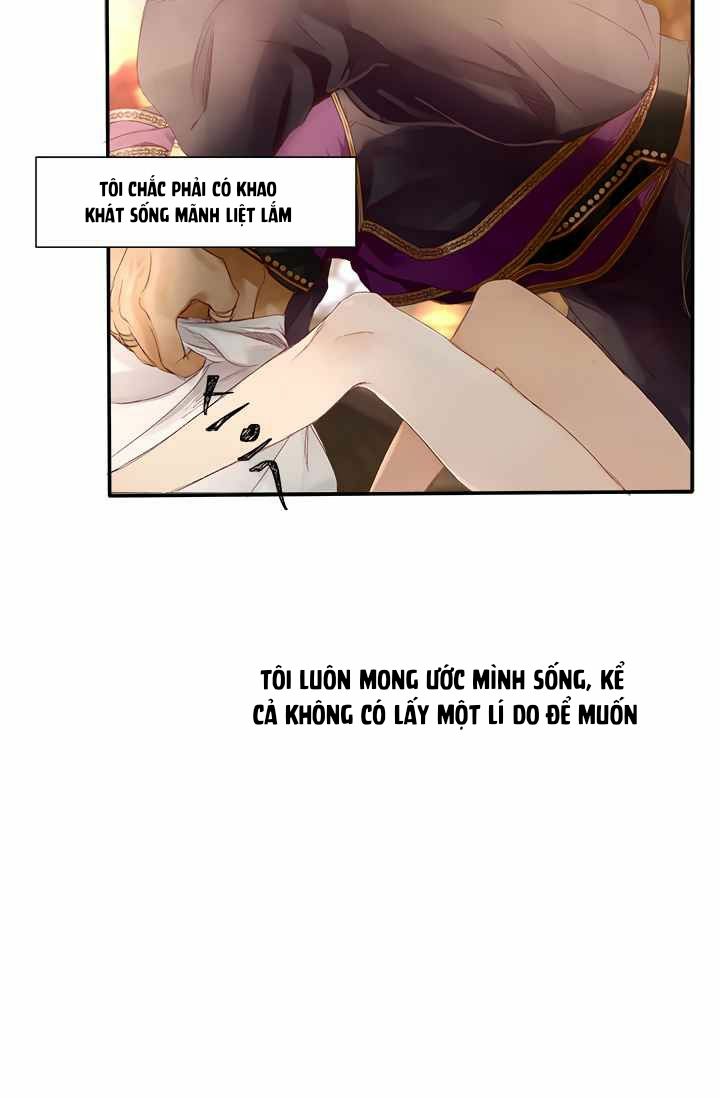 đọc truyện Đóa Hoa Sultan Chương 1 ảnh 39 tại Thiên Thai Truyện