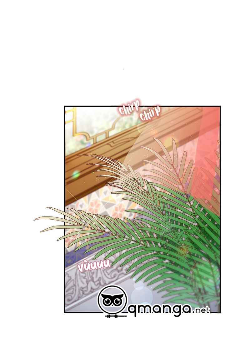 đọc truyện Đóa Hoa Sultan Chương 2 ảnh 3 tại Thiên Thai Truyện