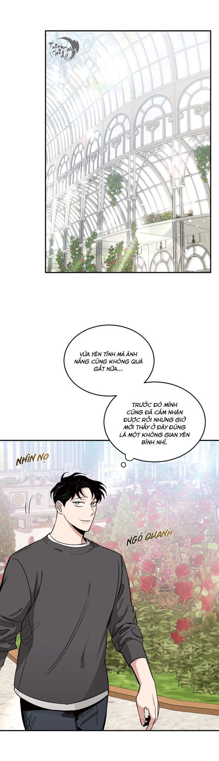 đọc truyện Đoá Hồng Và Ly Champagne Chương 12 ảnh 13 tại Thiên Thai Truyện