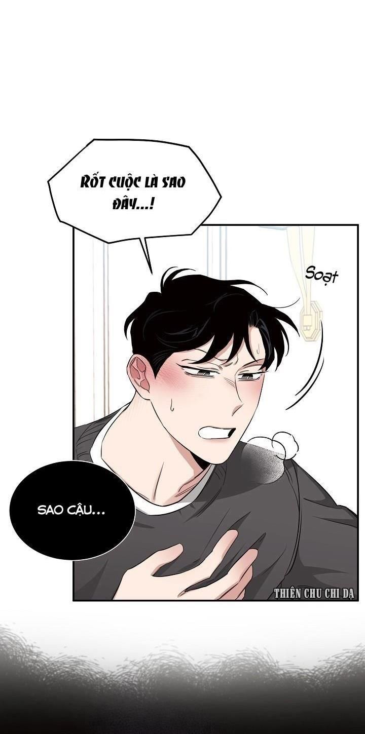 đọc truyện Đoá Hồng Và Ly Champagne Chương 13 ảnh 8 tại Thiên Thai Truyện