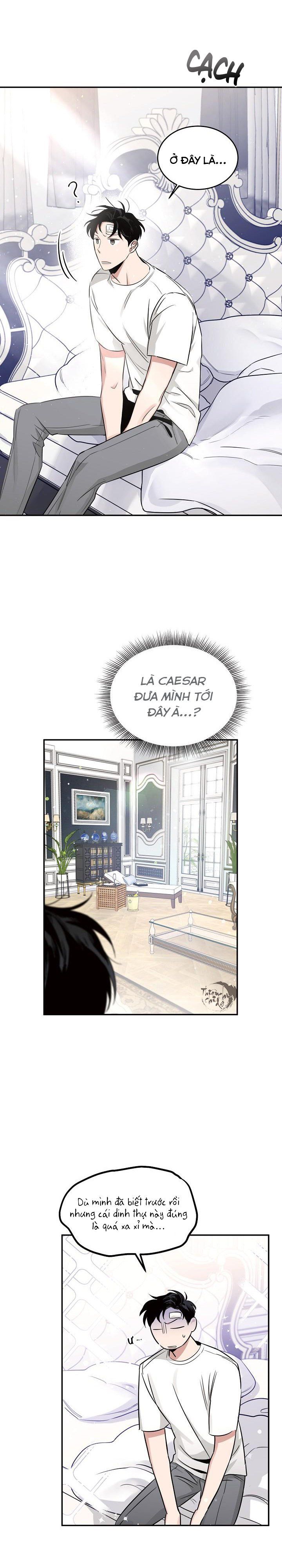 đọc truyện Đoá Hồng Và Ly Champagne Chương 17 ảnh 13 tại Thiên Thai Truyện