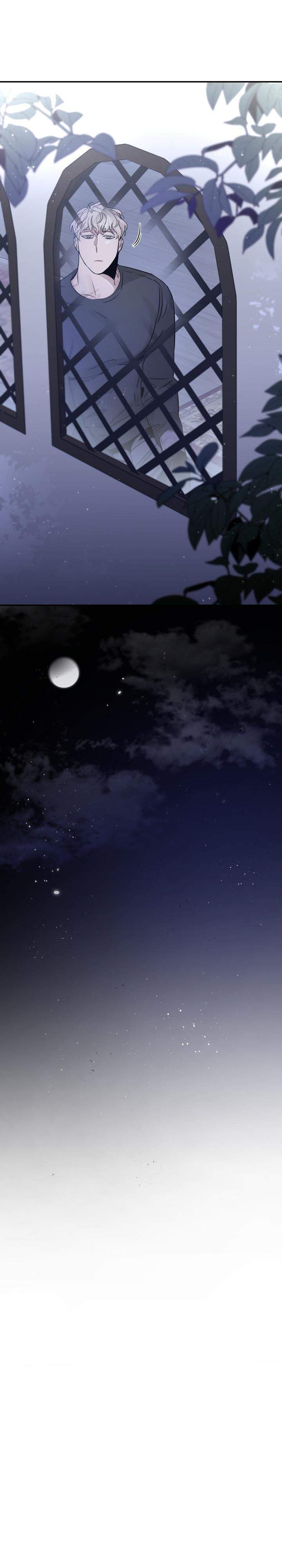 đọc truyện Đoá Hồng Và Ly Champagne Chương 22 ảnh 21 tại Thiên Thai Truyện