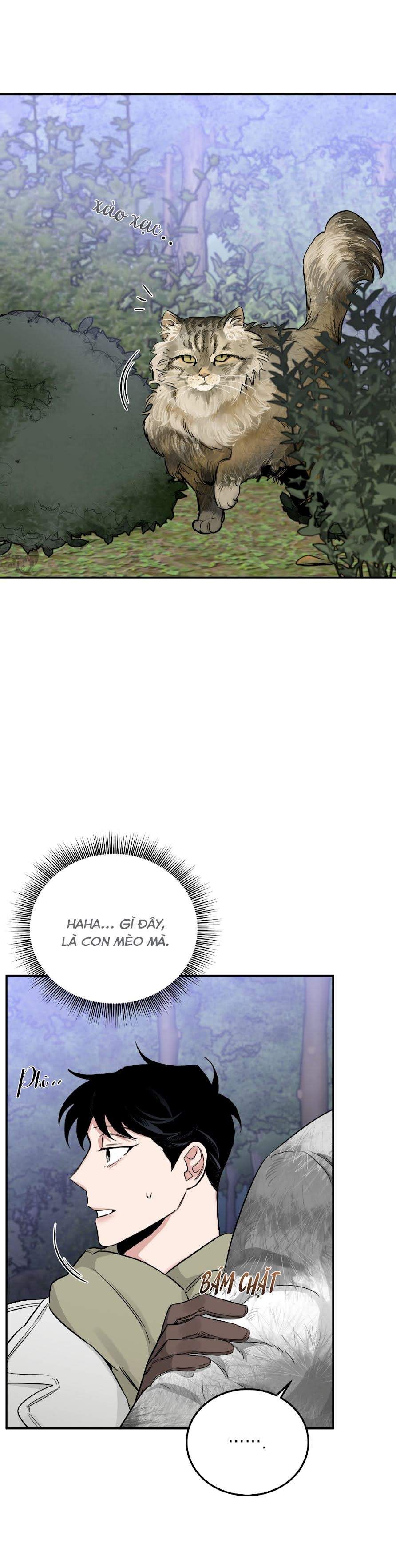 đọc truyện Đoá Hồng Và Ly Champagne Chương 23 ảnh 35 tại Thiên Thai Truyện