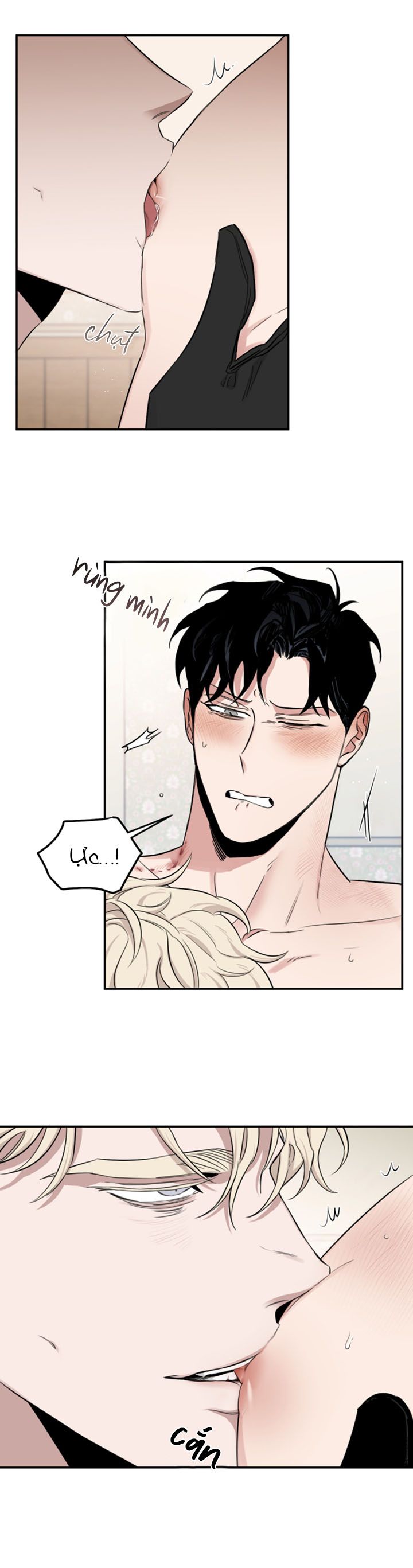 đọc truyện Đoá Hồng Và Ly Champagne Chương 29 ảnh 11 tại Thiên Thai Truyện