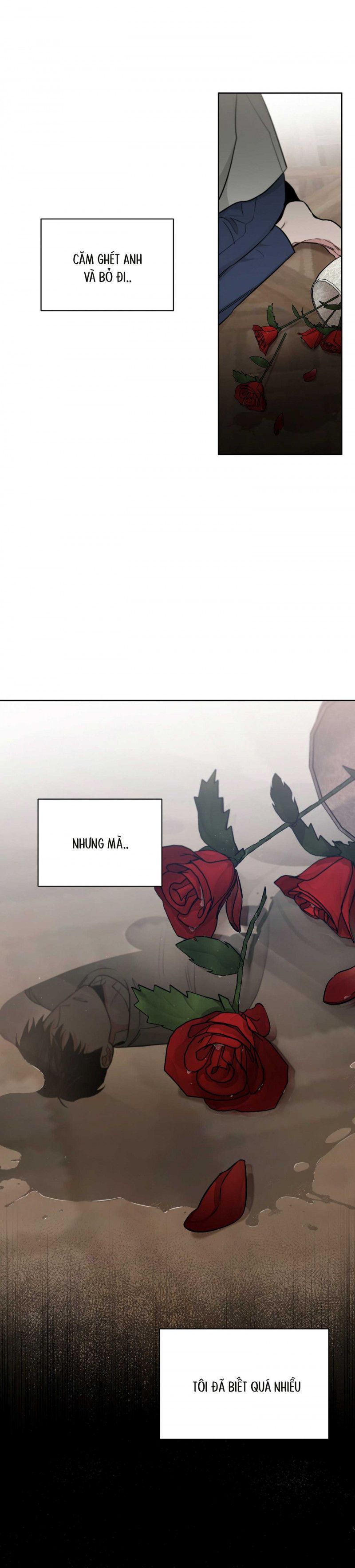 đọc truyện Đoá Hồng Và Ly Champagne Chương 46.5 ảnh 16 tại Thiên Thai Truyện