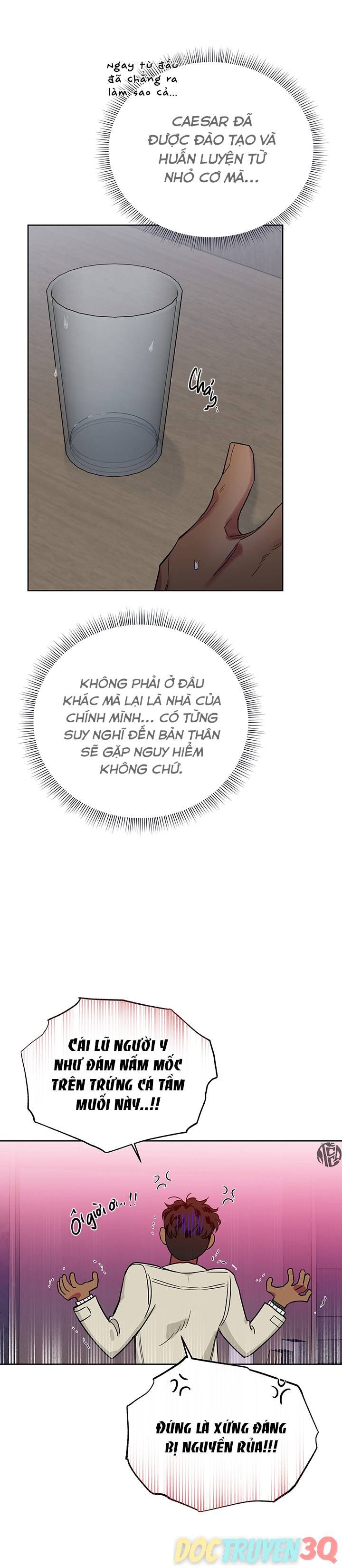 đọc truyện Đoá Hồng Và Ly Champagne Chương 60 ảnh 8 tại Thiên Thai Truyện