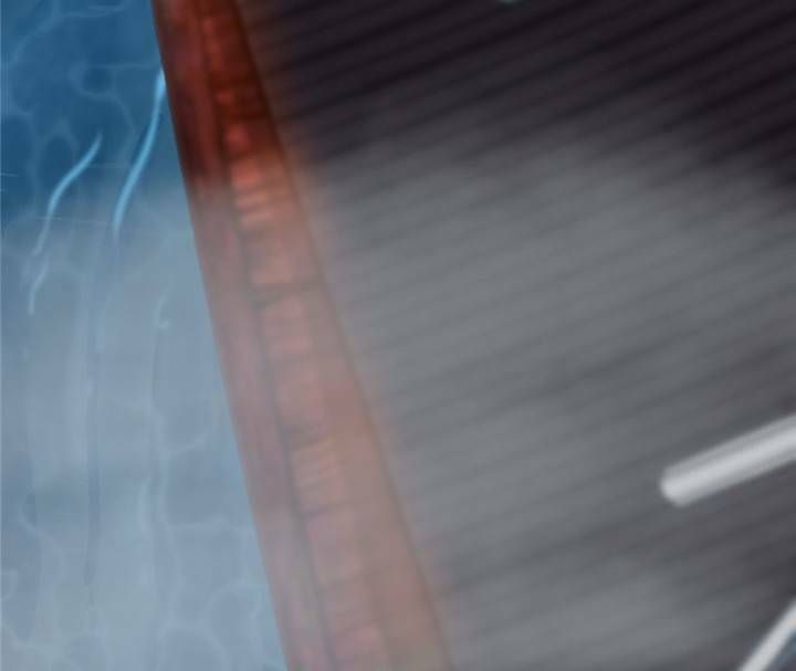 đọc truyện Độc Bộ Thiên Hạ: Đặc Công Thần Y Chương 144 ảnh 27 tại Thiên Thai Truyện