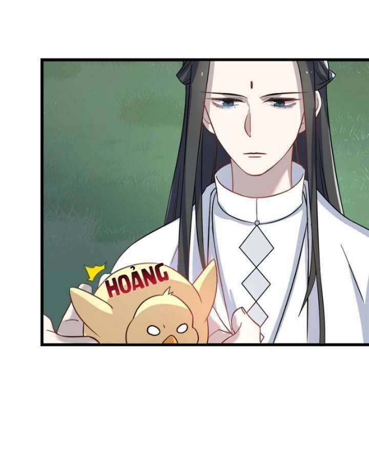 đọc truyện Độc Bộ Thiên Hạ: Đặc Công Thần Y Chương 162 ảnh 33 tại Thiên Thai Truyện