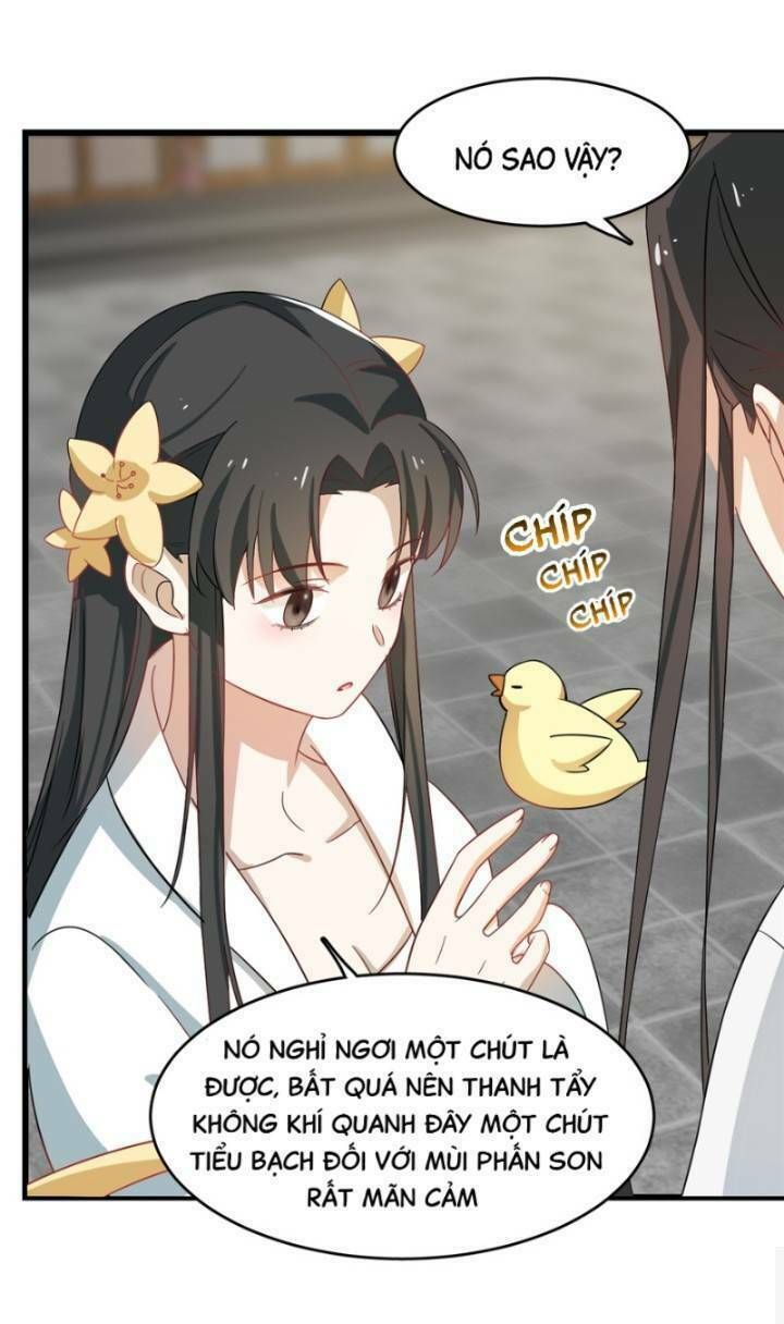 đọc truyện Độc Bộ Thiên Hạ: Đặc Công Thần Y Chương 163 ảnh 24 tại Thiên Thai Truyện