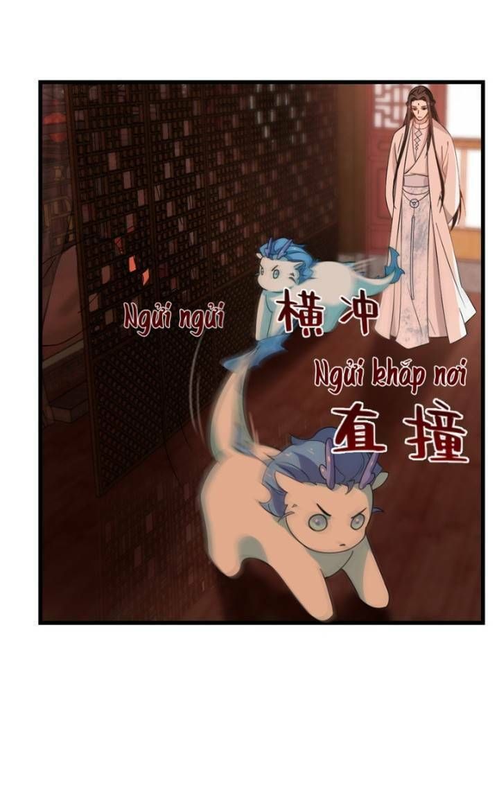 đọc truyện Độc Bộ Thiên Hạ: Đặc Công Thần Y Chương 163 ảnh 30 tại Thiên Thai Truyện