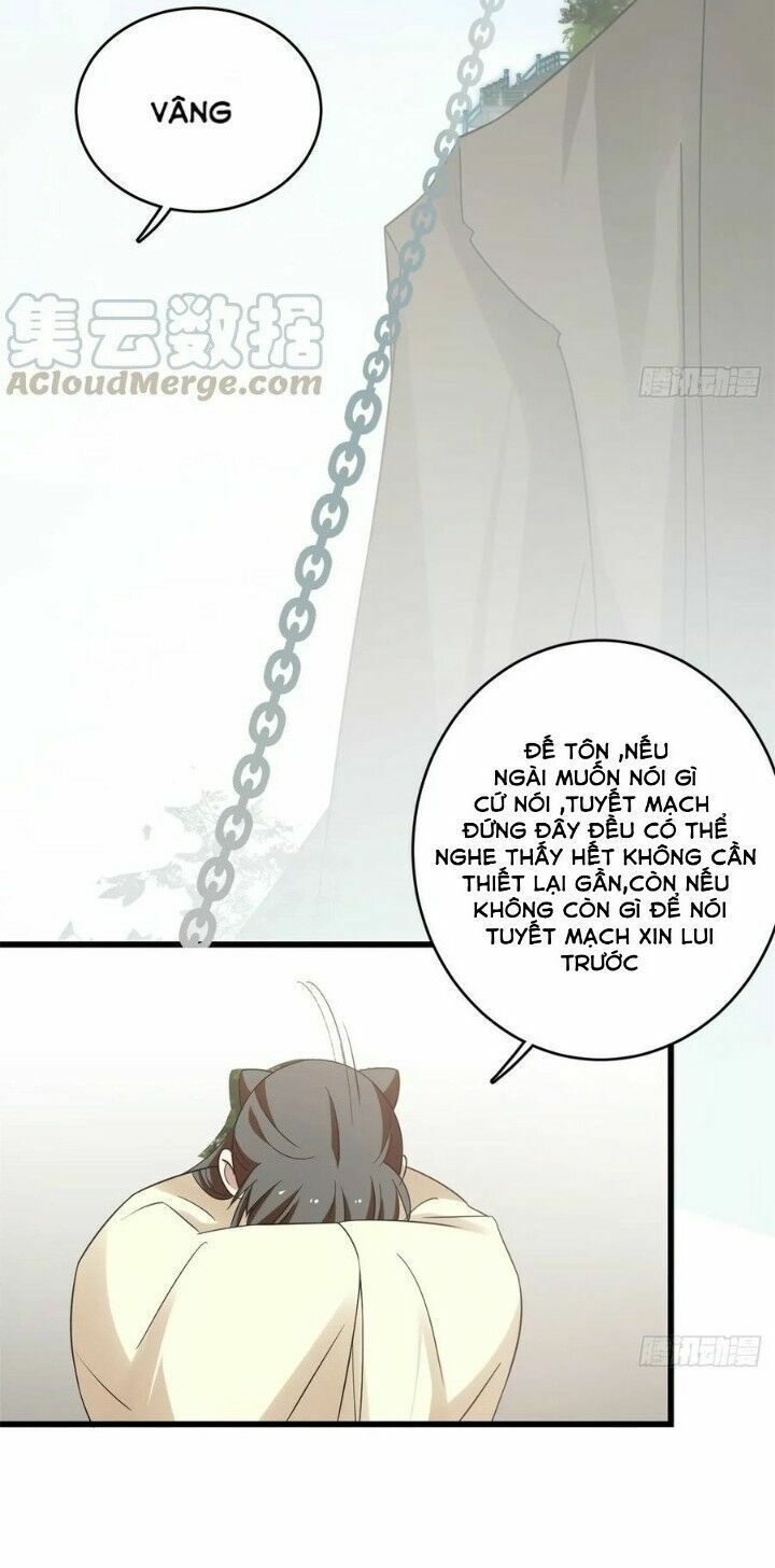 đọc truyện Độc Bộ Thiên Hạ: Đặc Công Thần Y Chương 201 ảnh 16 tại Thiên Thai Truyện