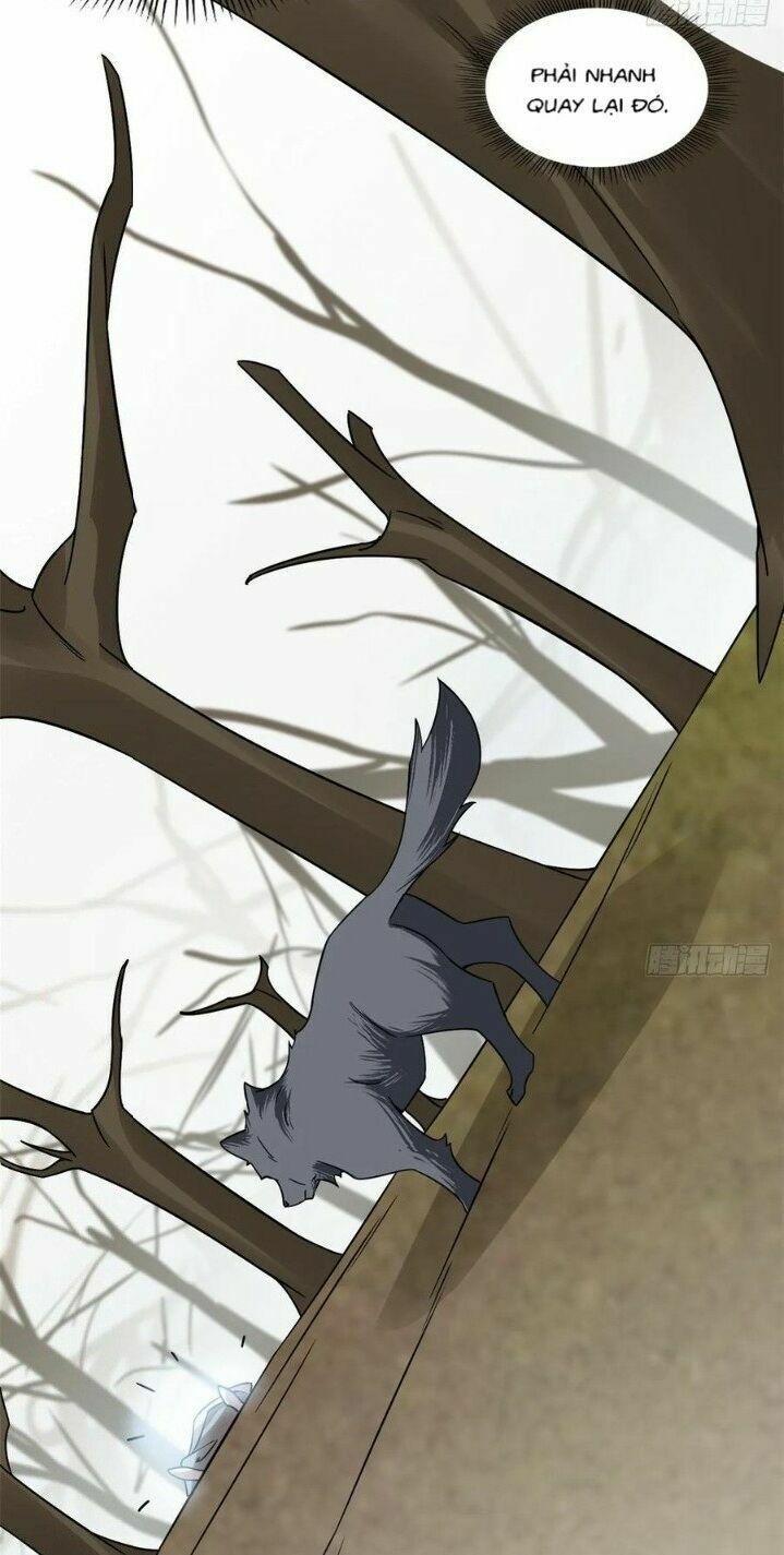 đọc truyện Độc Bộ Thiên Hạ: Đặc Công Thần Y Chương 203 ảnh 14 tại Thiên Thai Truyện