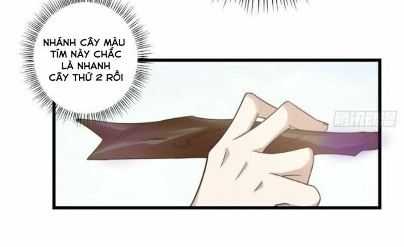 đọc truyện Độc Bộ Thiên Hạ: Đặc Công Thần Y Chương 206 ảnh 35 tại Thiên Thai Truyện