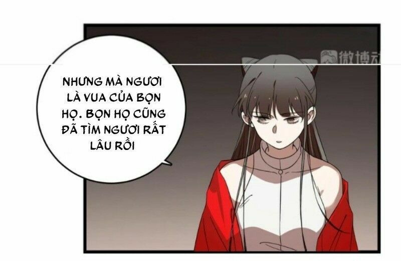 đọc truyện Độc Bộ Thiên Hạ: Đặc Công Thần Y Chương 218 ảnh 12 tại Thiên Thai Truyện