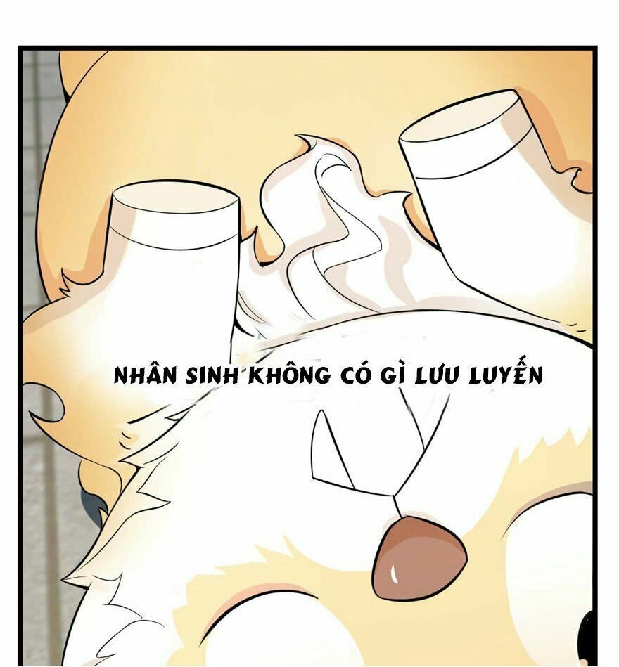 đọc truyện Độc Bộ Thiên Hạ: Đặc Công Thần Y Chương 22 ảnh 58 tại Thiên Thai Truyện