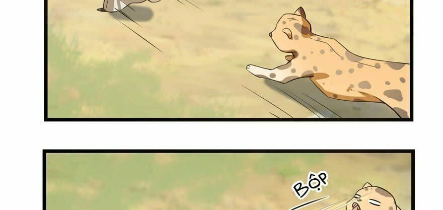 đọc truyện Độc Bộ Thiên Hạ: Đặc Công Thần Y Chương 23 ảnh 134 tại Thiên Thai Truyện