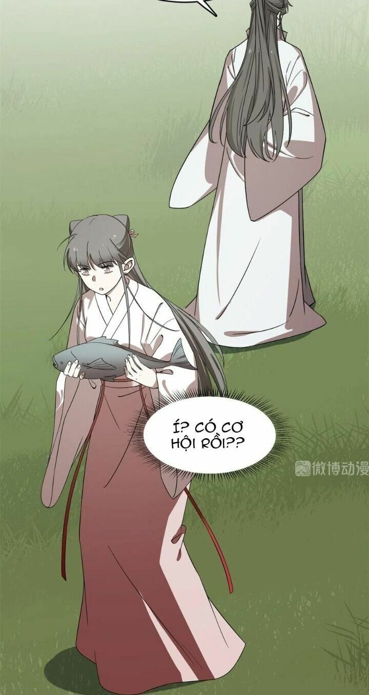 đọc truyện Độc Bộ Thiên Hạ: Đặc Công Thần Y Chương 241 ảnh 27 tại Thiên Thai Truyện