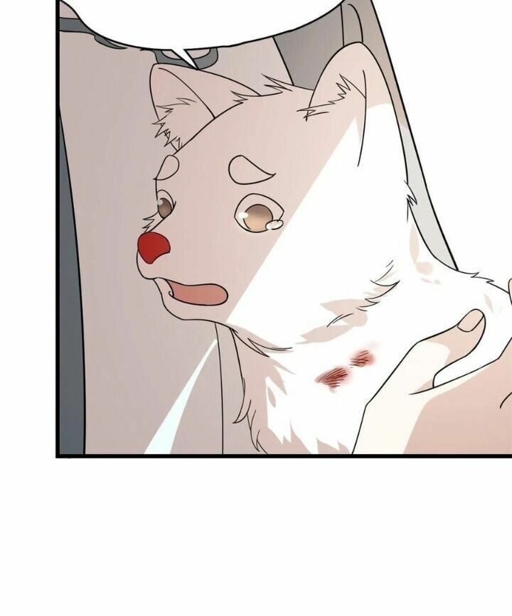 đọc truyện Độc Bộ Thiên Hạ: Đặc Công Thần Y Chương 242 ảnh 32 tại Thiên Thai Truyện