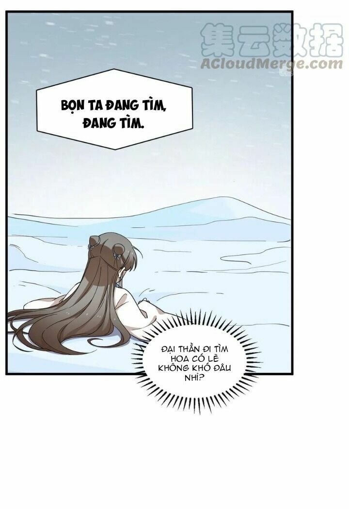 đọc truyện Độc Bộ Thiên Hạ: Đặc Công Thần Y Chương 252 ảnh 16 tại Thiên Thai Truyện