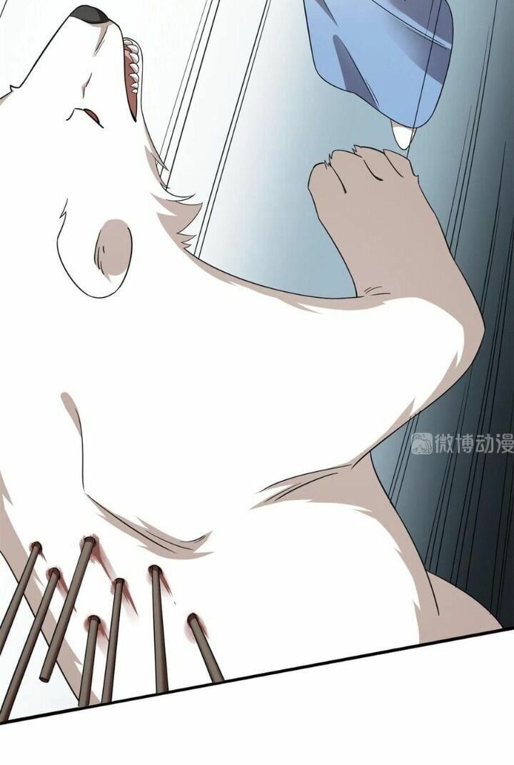 đọc truyện Độc Bộ Thiên Hạ: Đặc Công Thần Y Chương 254 ảnh 12 tại Thiên Thai Truyện