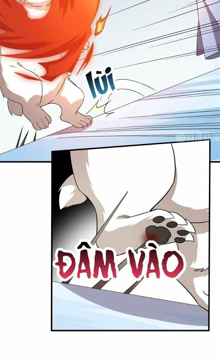 đọc truyện Độc Bộ Thiên Hạ: Đặc Công Thần Y Chương 254 ảnh 16 tại Thiên Thai Truyện