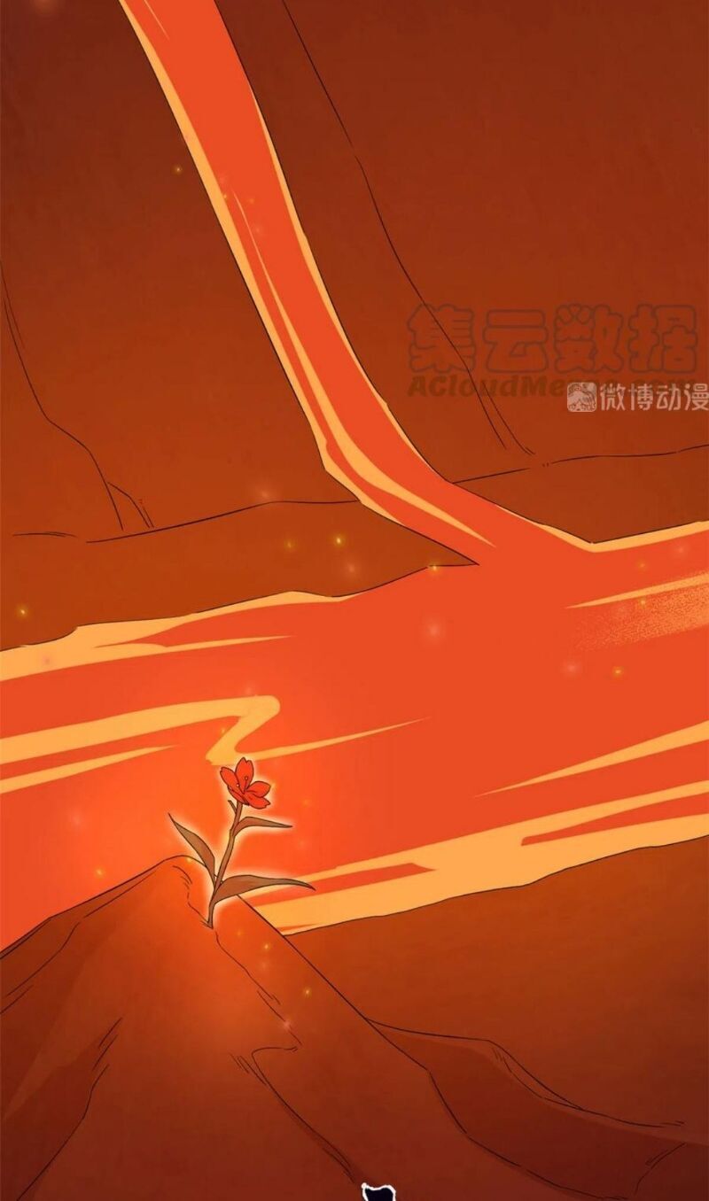 đọc truyện Độc Bộ Thiên Hạ: Đặc Công Thần Y Chương 284 ảnh 5 tại Thiên Thai Truyện