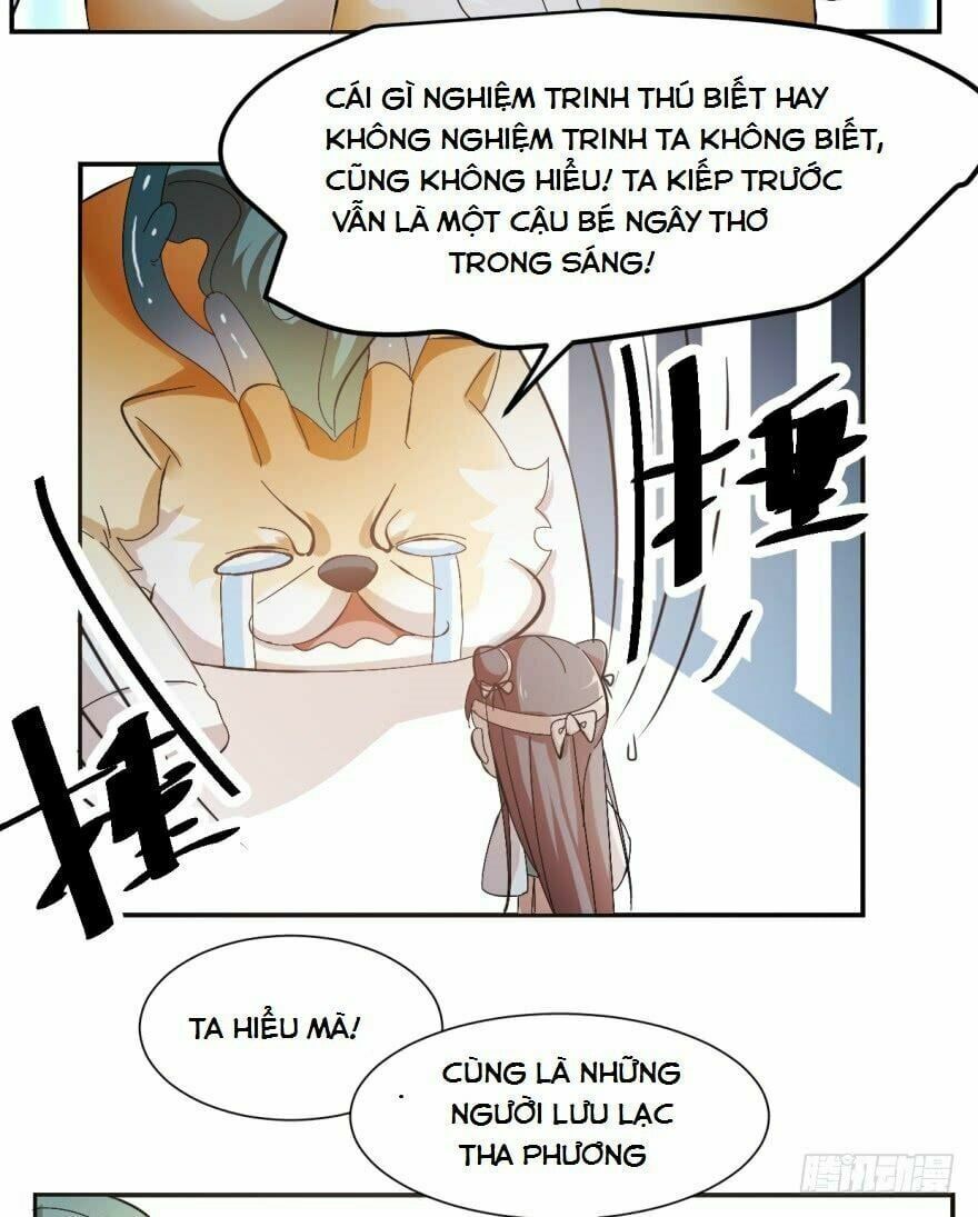 đọc truyện Độc Bộ Thiên Hạ: Đặc Công Thần Y Chương 3 ảnh 39 tại Thiên Thai Truyện