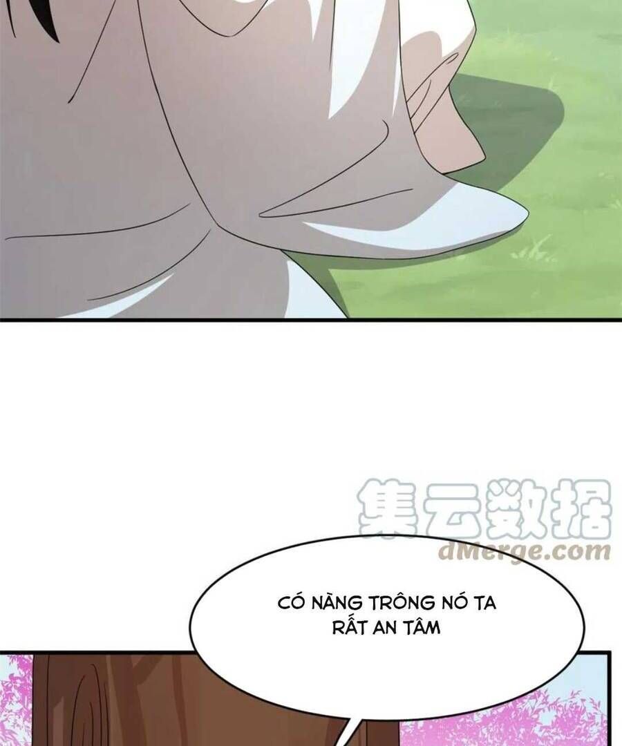 đọc truyện Độc Bộ Thiên Hạ: Đặc Công Thần Y Chương 401 ảnh 8 tại Thiên Thai Truyện