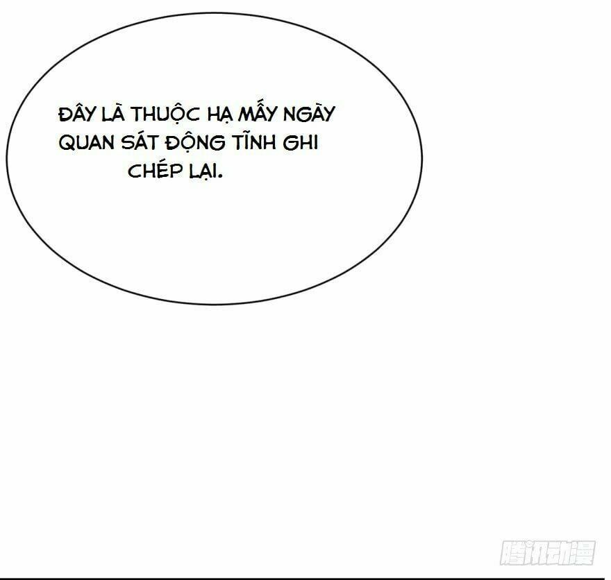 đọc truyện Độc Bộ Thiên Hạ: Đặc Công Thần Y Chương 8 ảnh 39 tại Thiên Thai Truyện