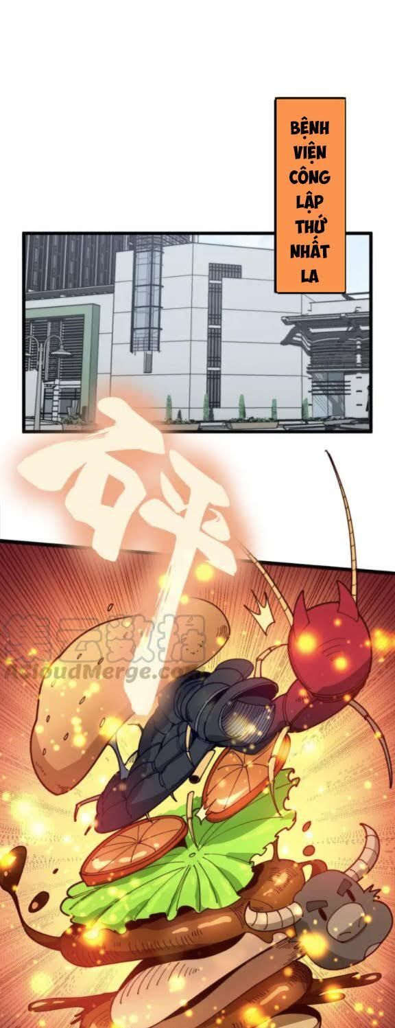 đọc truyện Độc Thủ Vu Y Chương 145 ảnh 3 tại Thiên Thai Truyện