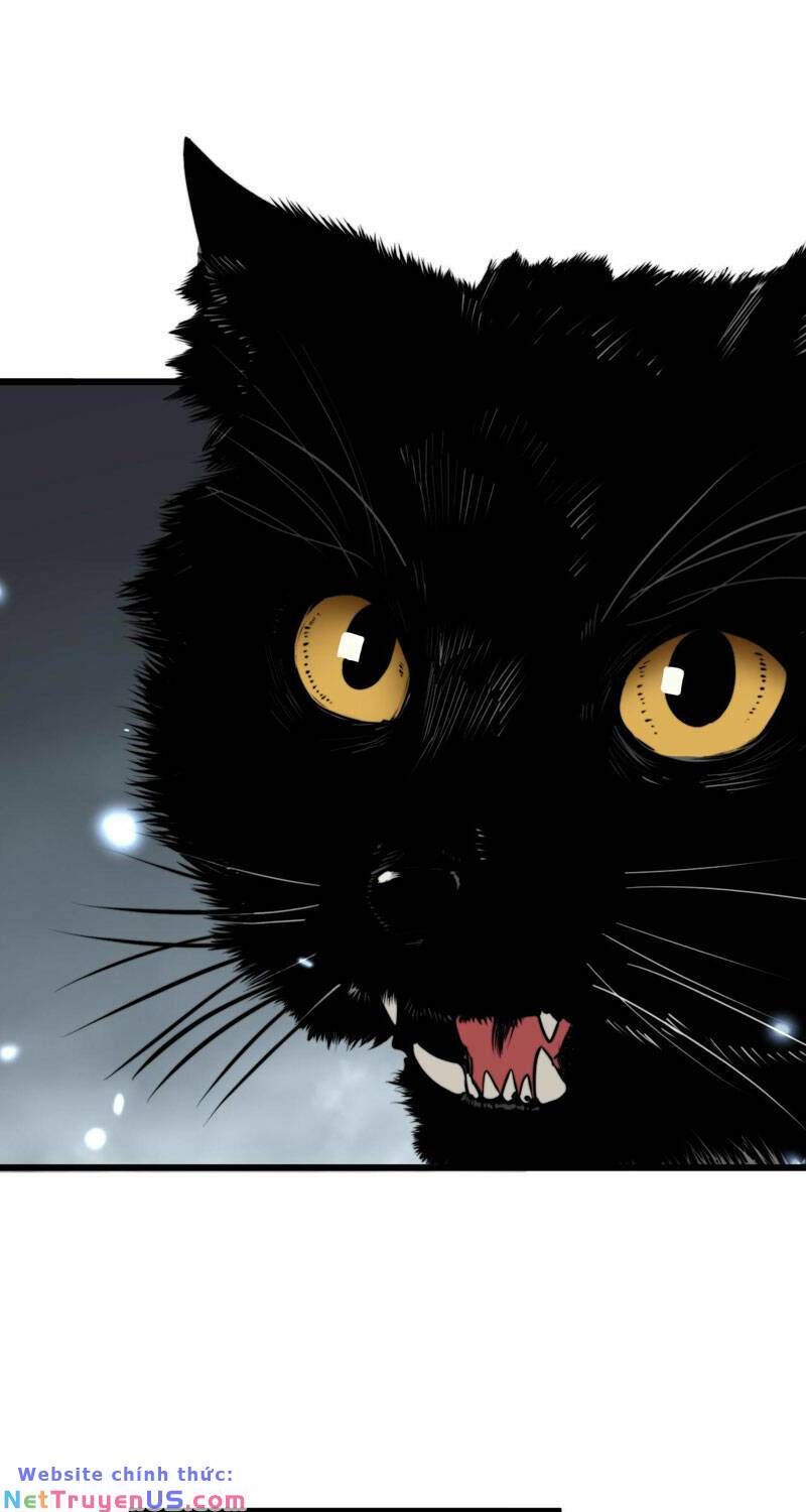 đọc truyện Độc Thủ Vu Y Chương 366 ảnh 53 tại Thiên Thai Truyện