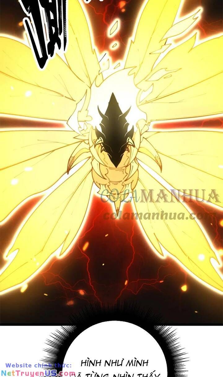 đọc truyện Độc Thủ Vu Y Chương 402 ảnh 22 tại Thiên Thai Truyện