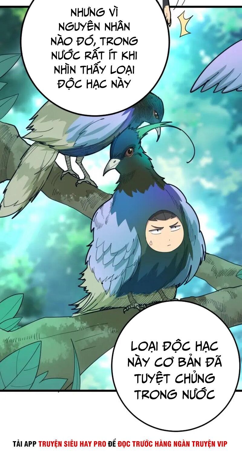 đọc truyện Độc Thủ Vu Y Chương 79 ảnh 5 tại Thiên Thai Truyện